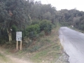Fogueres Montsoriu_1
