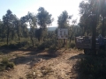 Mas Salvi_2