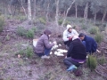 Preparación protectores SeedShelter