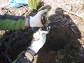 Protector SeedShelter_1