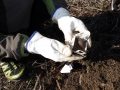 Protector SeedShelter_2